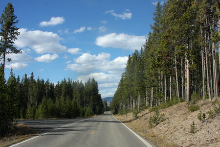 Grand Loop Road in Yellowstone National Park