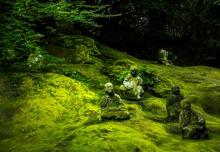 Buddhism statue asia photo