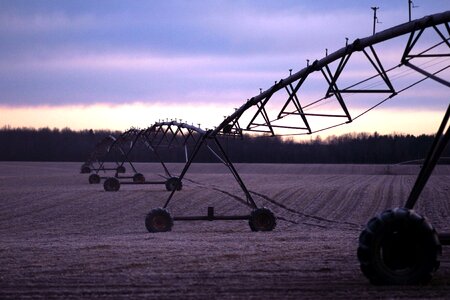 Agriculture dusk field