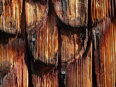 Facade cladding wood shingle grain