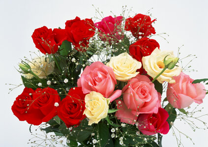 bouquet of red roses and white flowers on white photo