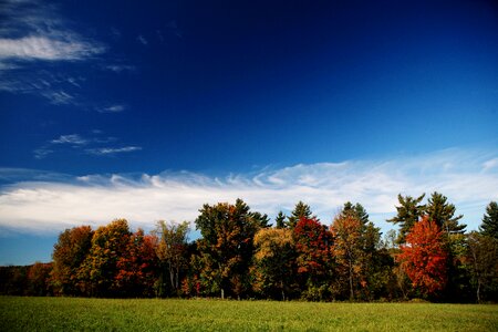 Autumn nature color photo