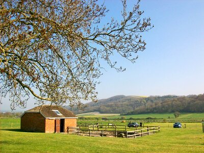Green pastures of horse farms photo