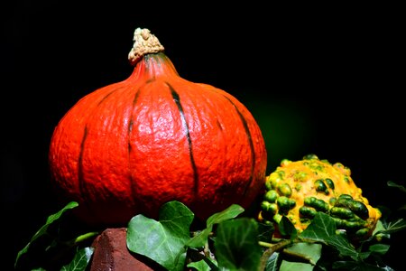 Autumn autumn season beautiful photo