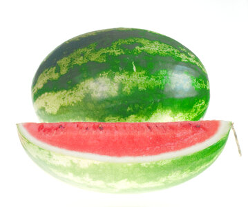 watermelon photo