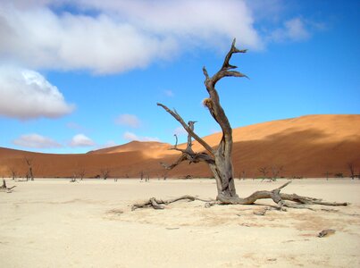 Dune landscape sossusvei photo