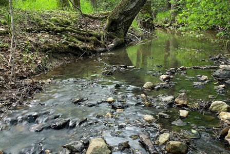 Stones water surface photo