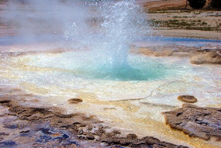 Yellowstone national park wyoming nature photo