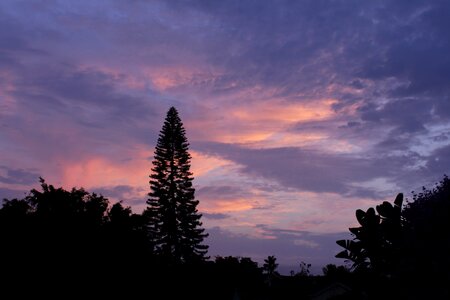 Sky morning silhouette photo