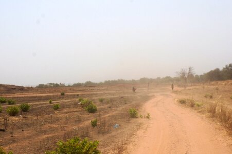 Rural path field