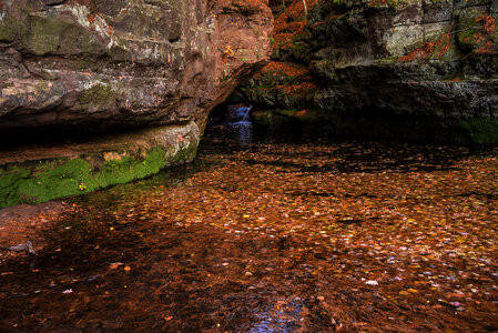 Red Leaves in the waters of the gorge at Pewit's Nest, Wisconsin photo
