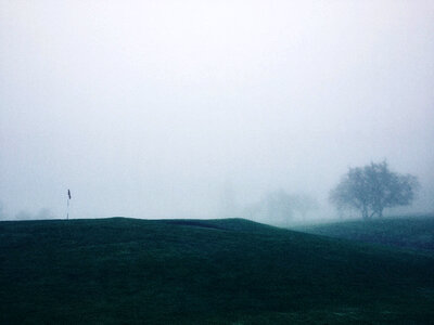 Fields fog gray photo