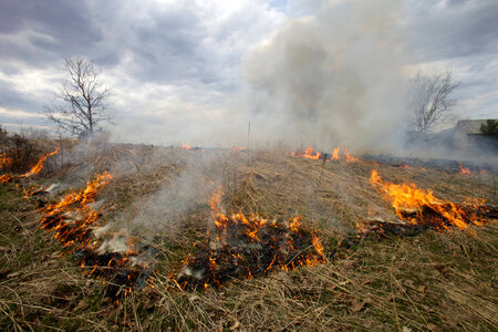 Prescribed burn at NCTC-1