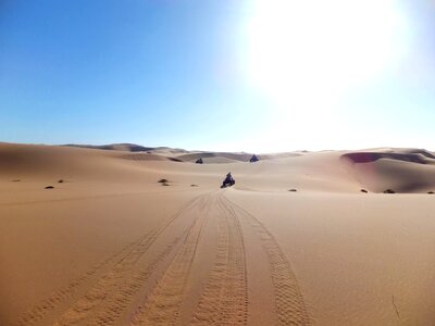 Dune nature exotic
