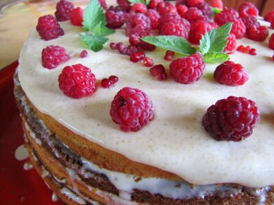 Sponge cake berry sweets photo