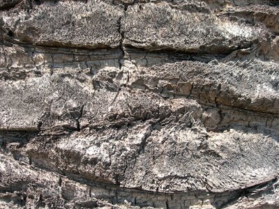 Ancient close-up gray