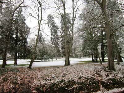 Snow landscape wilderness photo