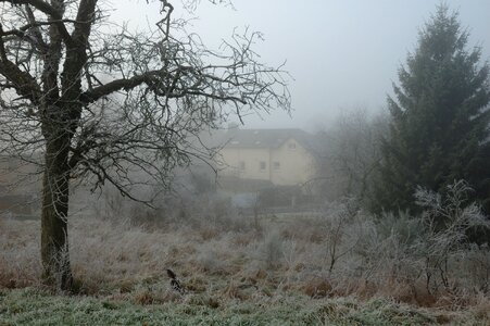 Misty season winter photo