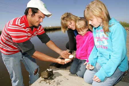 Family happy Ostreoidea mollusca