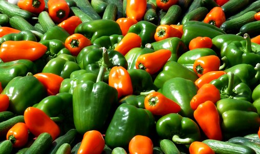 Market green green peppers photo