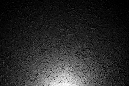 Ceiling black and white design photo