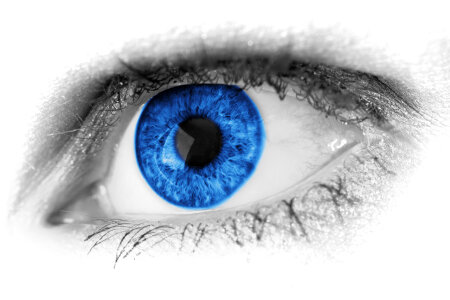 Blue Eye Detail photo