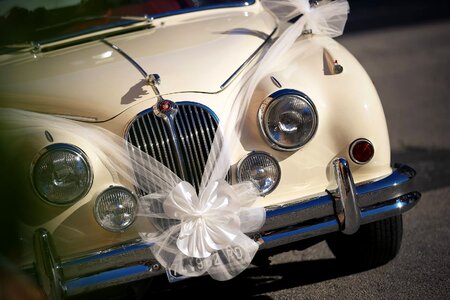 Truelove marriage spouses