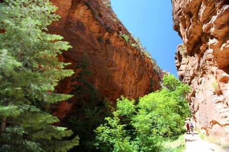 Bright Angel trail in Grand Canyon National Park photo