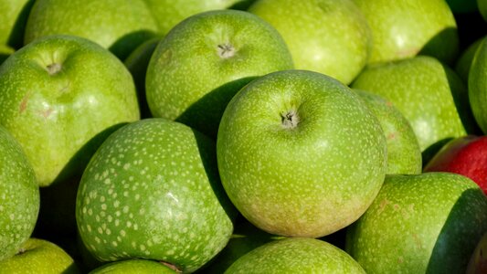 Apple fruit food