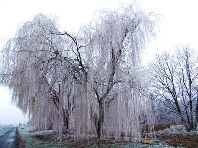 Cold ice frosty