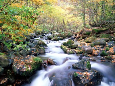 Autumn landscape. mountain River into canyon. photo