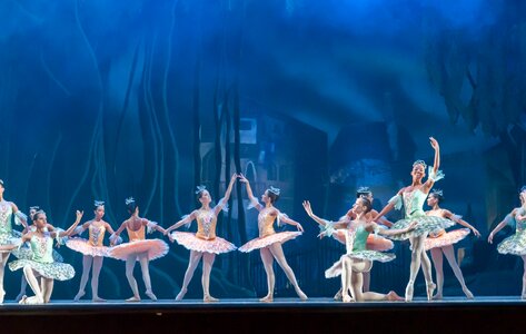 Don quixote dancers women