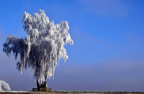 Beautiful Photo cloud cold