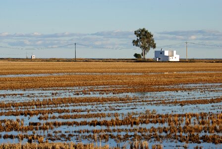 Horizon rural landscape