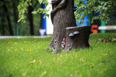 Grass penëk trunk