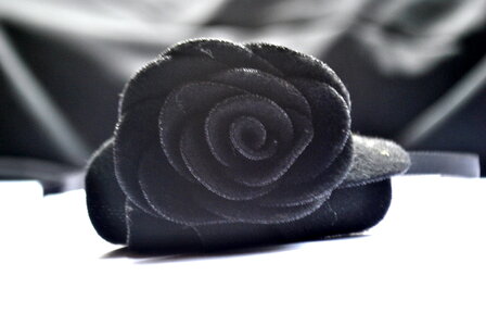 Black Rose