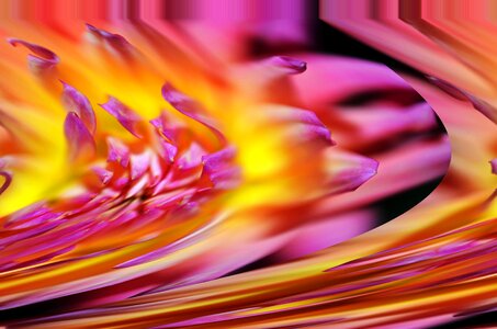 Yellow violelt abstract