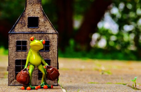 Frog luggage figure