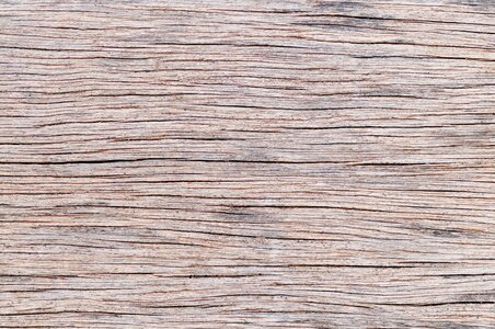 Wooden brown pattern photo