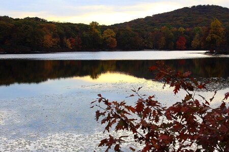 Landscape nature season photo