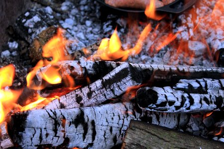 Beautiful Photo fire firewood