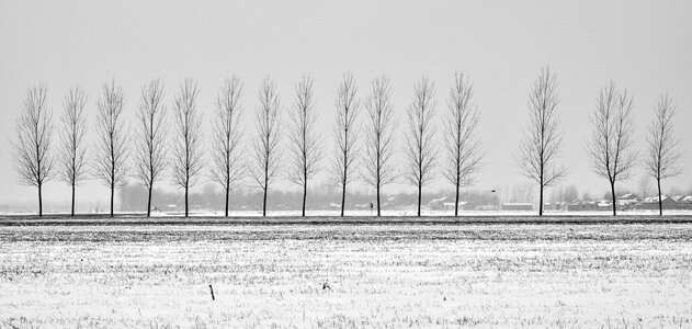 Avenue in rural areas black and white photography photo