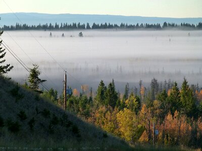 Landscape forest idyll photo