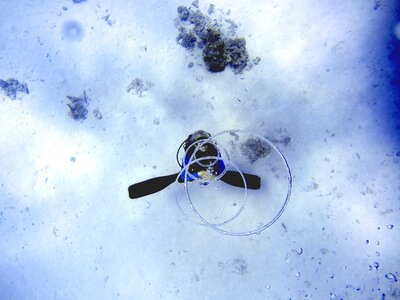 Breath divers underwater photo