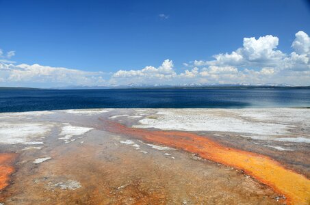 Wyoming thermophiles thermal springs