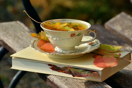 Autumn Tea