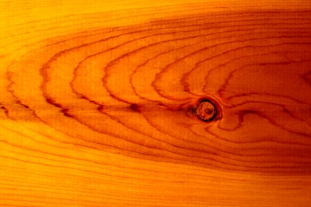 Board knot plank photo