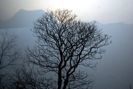 Mountains landscape fog