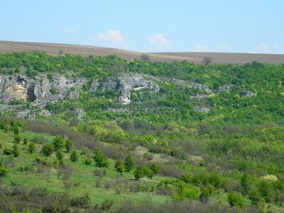 Green Landscape photo