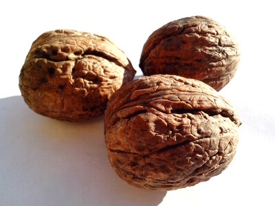 Background fruit plant